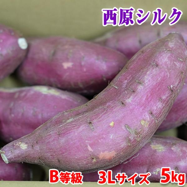 さつまいも品種「シルクスイート」は、焼き芋にしたときの滑らかな食感と甘さで人気が高い品種です。熊本県産シルクスイートとして、熊本県・阿蘇山の麓にある西原村の特産品でもある、「西原シルク」を主にお届けさせていただきます。しっとりした口当たりが...