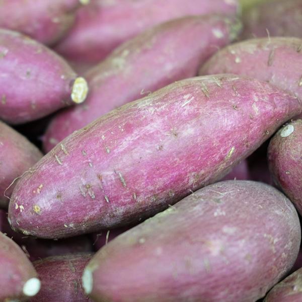 promart-jp_21710244-2_1