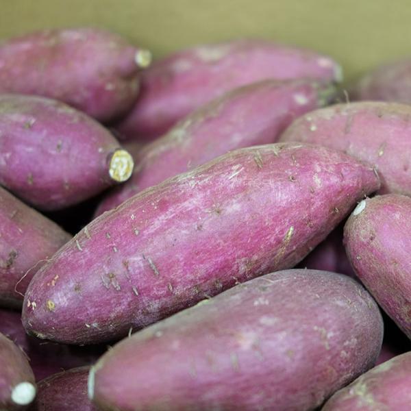 promart-jp_21710244-2_2