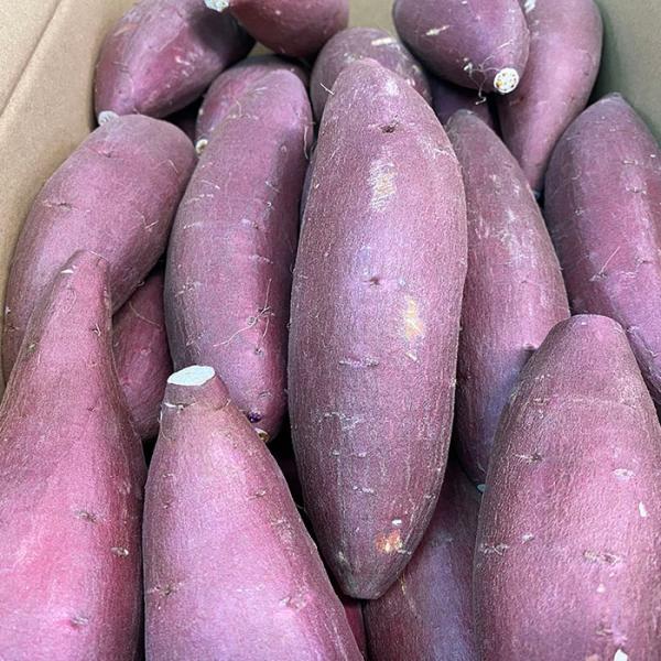 promart-jp_21710244-2_3