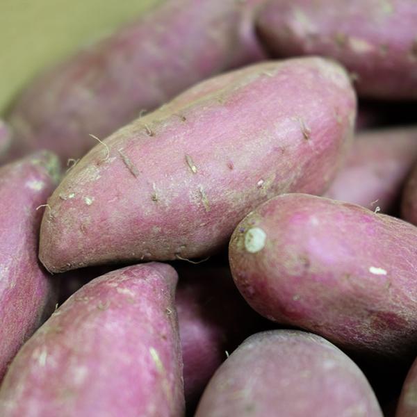 promart-jp_21710244-2_4