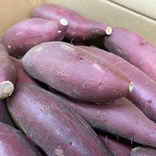 promart-jp_21710244-2_5