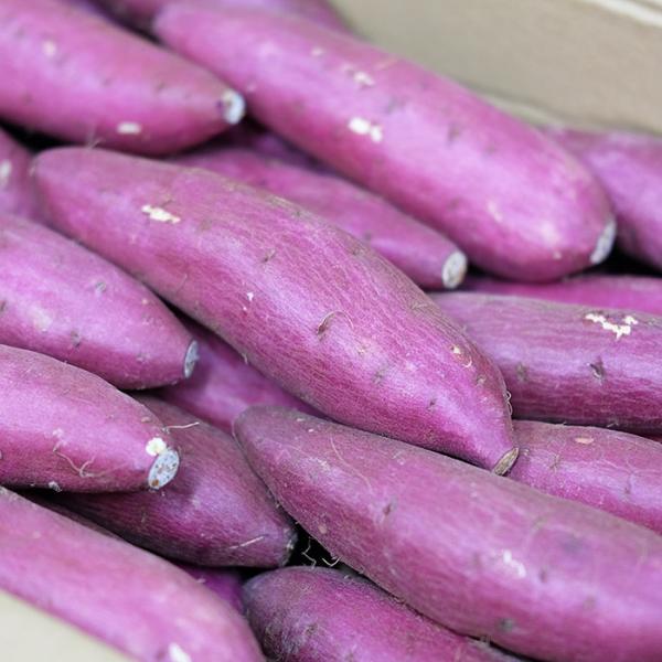 promart-jp_21710244-4_1