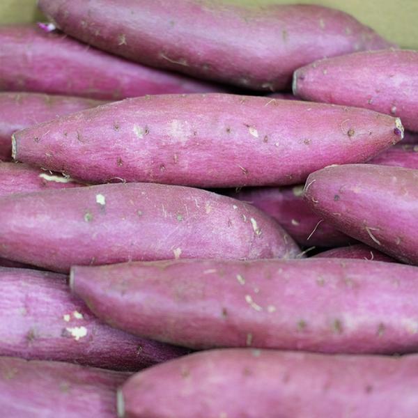 promart-jp_21710244-4_2