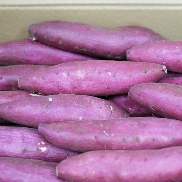 promart-jp_21710244-4_3