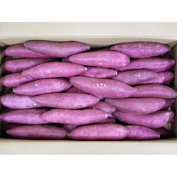 promart-jp_21710244-4_4