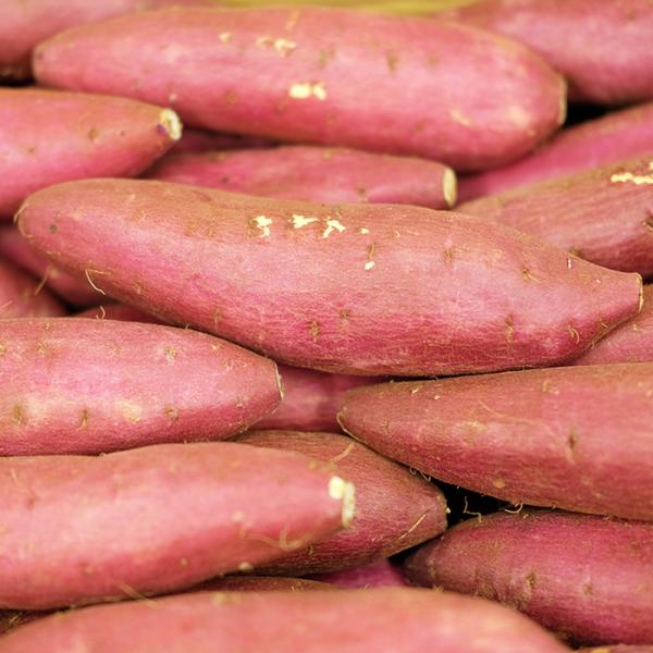 promart-jp_21710244-4_8