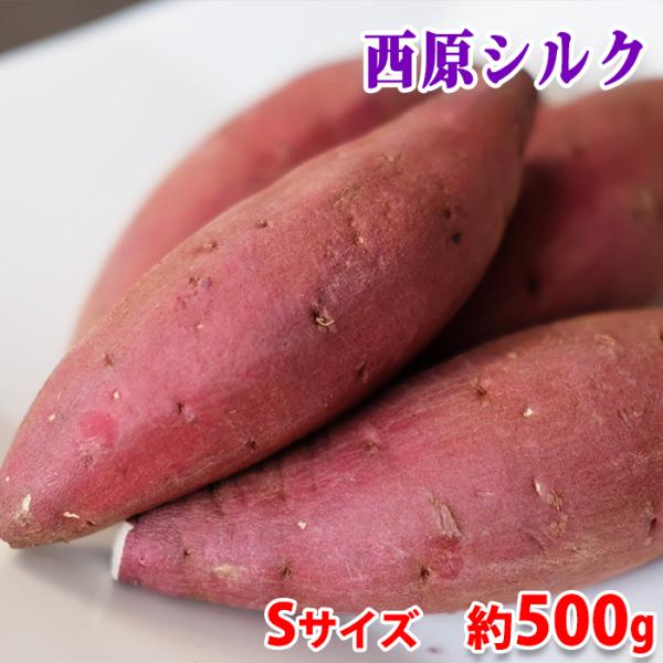 さつまいも品種「シルクスイート」は、焼き芋にしたときの滑らかな食感と甘さで人気が高い品種です。熊本県産シルクスイートとして、熊本県・阿蘇山の麓にある西原村の特産品でもある、「西原シルク」の小サイズを袋つめしました。しっとりした口当たりが特徴...