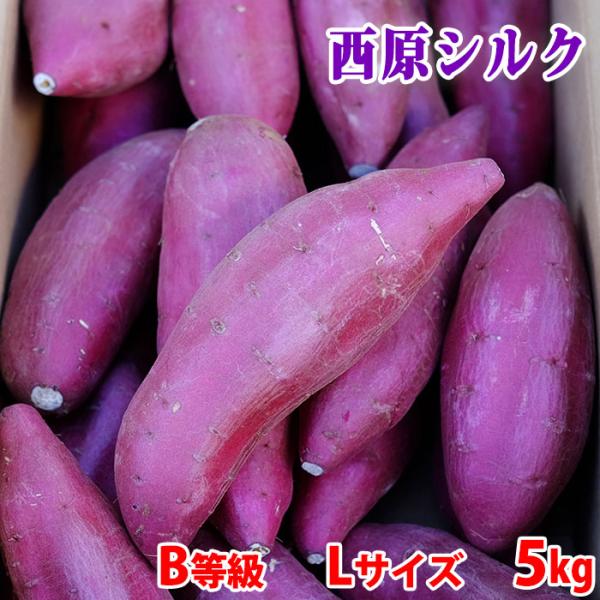 さつまいも品種「シルクスイート」は、焼き芋にしたときの滑らかな食感と甘さで人気が高い品種です。熊本県産シルクスイートとして、熊本県・阿蘇山の麓にある西原村の特産品でもある、「西原シルク」を主にお届けさせていただきます。しっとりした口当たりが...