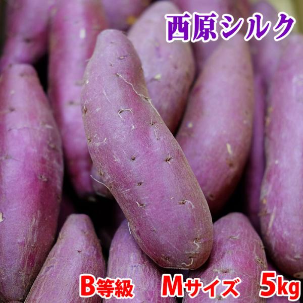 さつまいも品種「シルクスイート」は、焼き芋にしたときの滑らかな食感と甘さで人気が高い品種です。熊本県産シルクスイートとして、熊本県・阿蘇山の麓にある西原村の特産品でもある、「西原シルク」を主にお届けさせていただきます。しっとりした口当たりが...