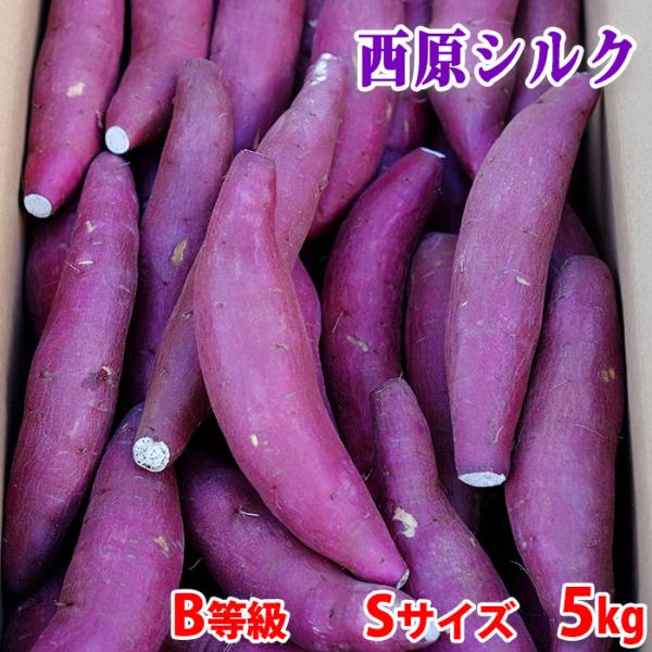 さつまいも品種「シルクスイート」は、焼き芋にしたときの滑らかな食感と甘さで人気が高い品種です。熊本県産シルクスイートとして、熊本県・阿蘇山の麓にある西原村の特産品でもある、「西原シルク」を主にお届けさせていただきます。しっとりした口当たりが...