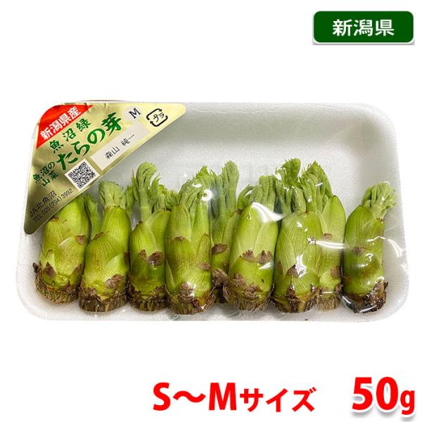 新潟県産 タラの芽 S〜Mサイズ 50g(約10本〜18本) : 21710251 新潟県産 タラの芽 S〜Mサイズ 50g(約10本〜18本) : 21710251