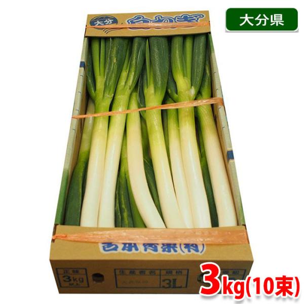 大分県産 採れたて泥付き白ネギ（6kg）3箱 大分県産 採れたて泥付き白ネギ（6kg）3箱