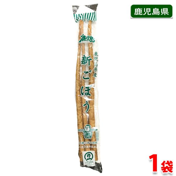 春先から市場に出回り始める早生品種の「新ごぼう」です。新ごぼうは風味がよく、皮もやわらかいのでさっと茹でただけでサラダなどにして食べられます。※入荷時期により福岡県など産地を変更させていただく場合がございます。あらかじめご了承ください。
