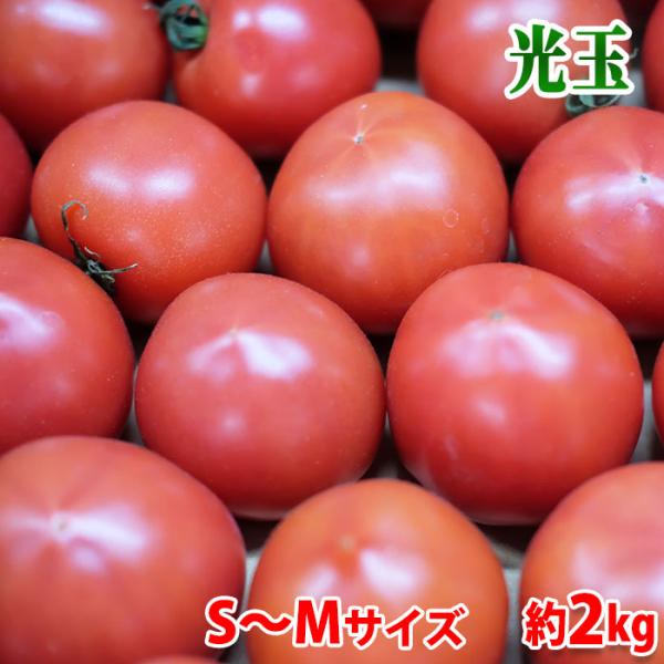 大阪府産　トマト　光玉（こうぎょく）高糖度・濃縮　S〜Mサイズ　約2kg
