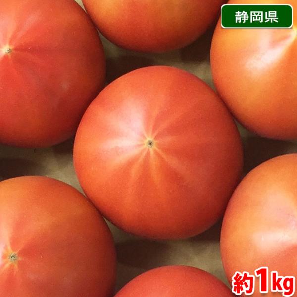 静岡県産 高糖度トマト アメーラ 12〜16玉入 約1kg （箱） 国産