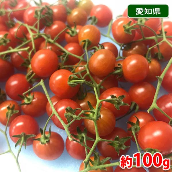 マイクロトマト 愛知県産 マイクロトマト 1パック(約100g） : 生鮮卸売市場