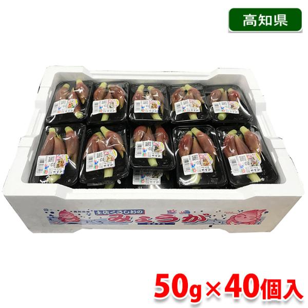 【はな】みょうが☆茗荷☆４００g☆長崎県産 楽天市場】茗荷〈ミョウガ〉みょうが みょうがこ 花茗荷1パック