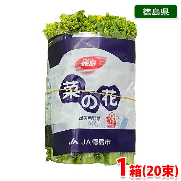 徳島県産 菜の花 約200g結束×20束入り（1箱） : 生鮮卸売市場 - 通販