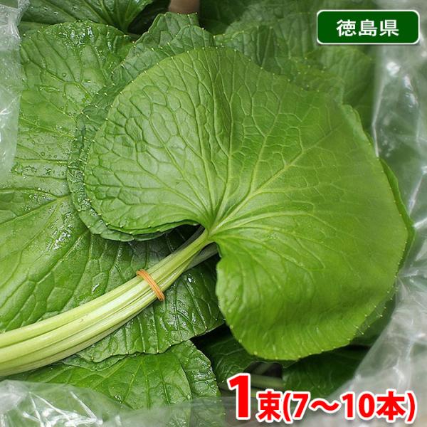 徳島県産 葉わさび 7〜10本（1束） : 生鮮卸売市場 - 通販