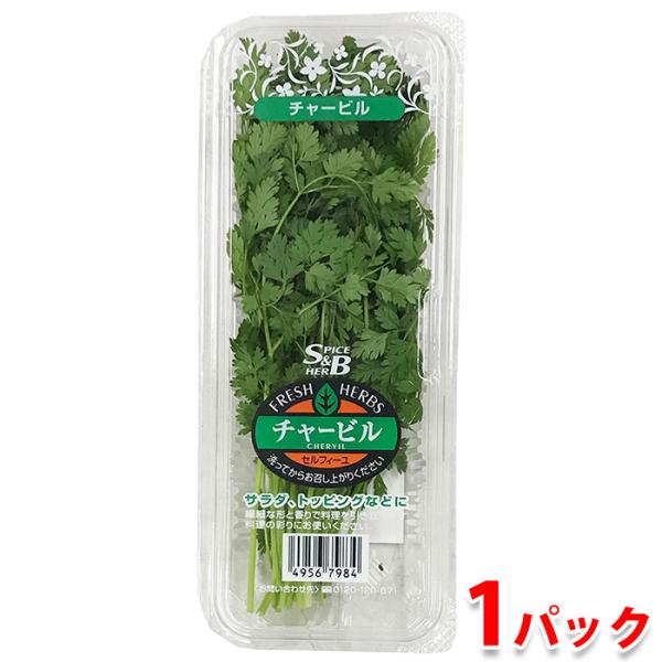 フレッシュハーブのチャービルは、料理のトッピングなどに使われる野菜。ケーキやデザート菓子などの飾り付けでよく使われています。※国産ですが、産地は三重県産、千葉県産、長野県産などに変わることもあります。