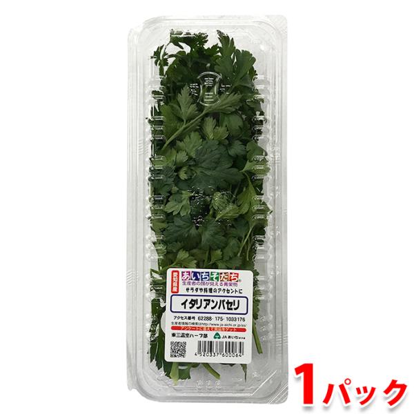 フレッシュイタリアンパセリ3kg 乾燥イタリアンパセリ 3g✕2袋：鹿児島県産のパセリ｜食べ