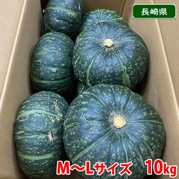 送料無料　長崎県産　かぼちゃ　A等級　M〜Lサイズ　7〜8玉入　10kg（1箱）