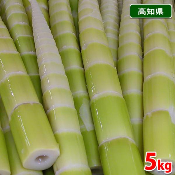 四方竹の通販 価格比較 価格 Com