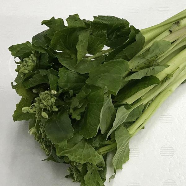 promart-jp_21710636_2