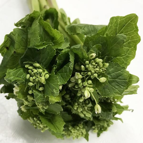 promart-jp_21710636_3