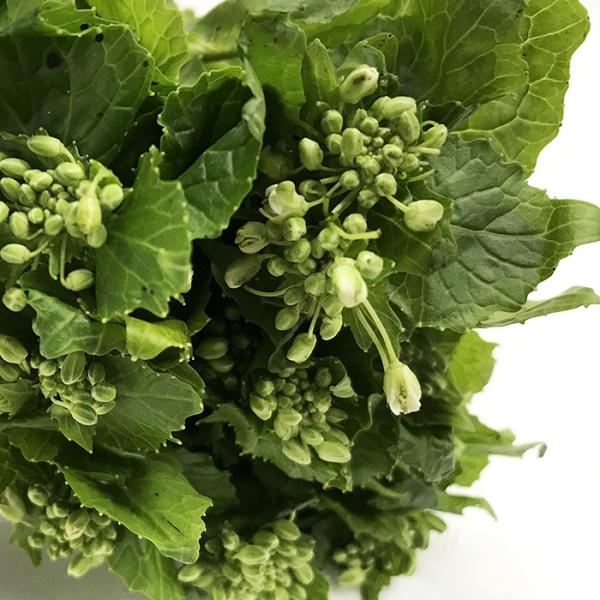 promart-jp_21710636_4