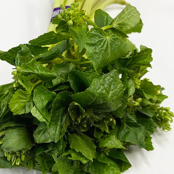 promart-jp_21710636_8