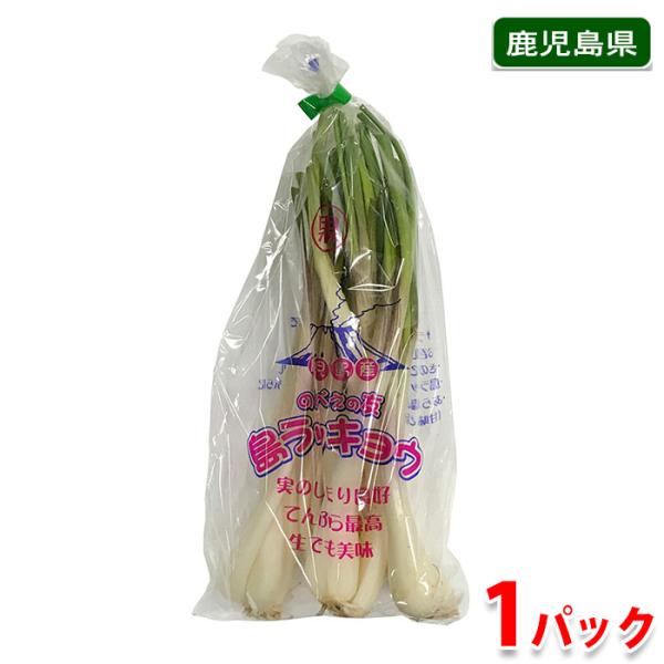 鹿児島県産 島ラッキョウ （島らっきょう） A等級 150g （袋詰め