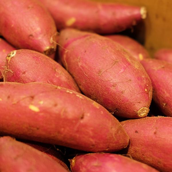 promart-jp_21710691-4_1