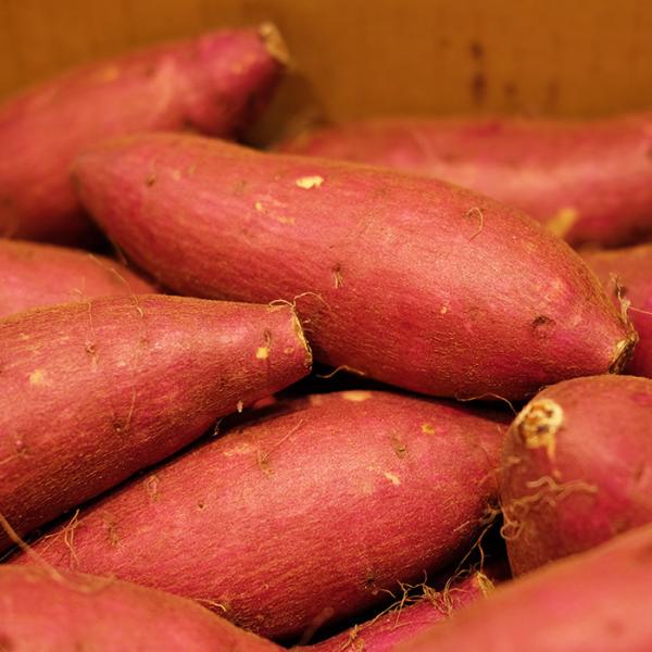 promart-jp_21710691-4_2