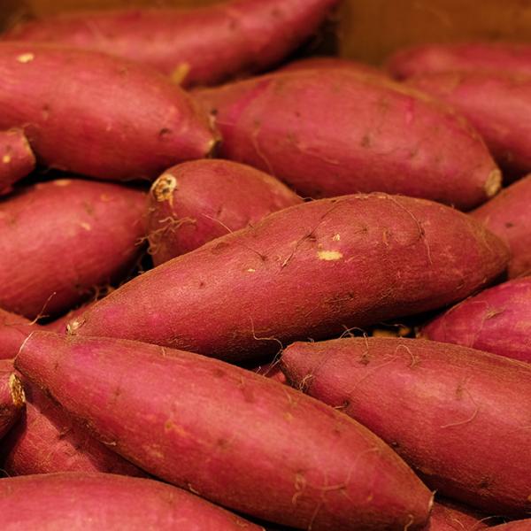 promart-jp_21710691-4_4