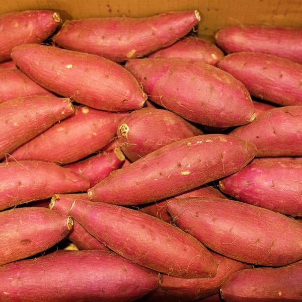 promart-jp_21710691-4_5