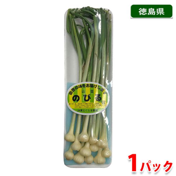 徳島県産 のびる ノビル 野蒜 1パック 約100g 生鮮卸売市場 通販 Yahoo ショッピング