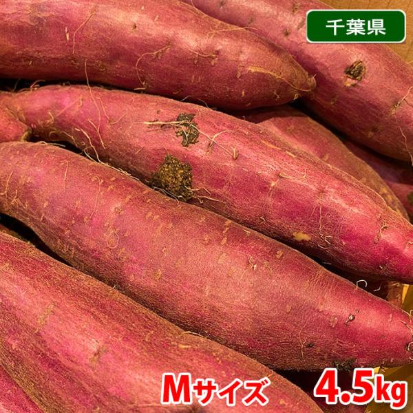 千葉県産(JAかとり)さつまいも 紅はるか 秀品 Mサイズ 約4.5kg 千葉県産(JAかとり)さつまいも 紅はるか 秀品 Mサイズ 約4.5kg