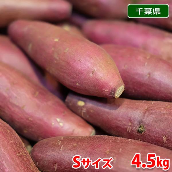 千葉県産（JAかとり）さつまいも 紅はるか 秀品 Sサイズ 約4.5kg
