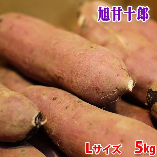 茨城県産(JA茨城旭村)さつまいも 旭甘十郎 紅はるか 特秀 Lサイズ 約5kg (13〜15本前後入) 貯蔵 箱入り :21710714-3:生鮮卸売市場 通販 JA茨城旭村 旭甘十郎 べにはるか 約5キロ 茨城県産 紅はるか さつまいも