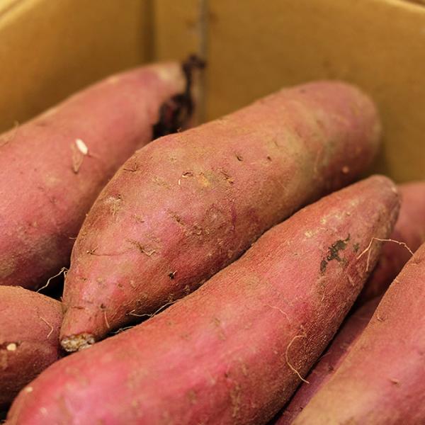 promart-jp_21710714-4_1