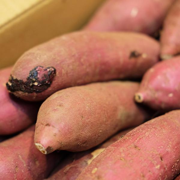 promart-jp_21710714-4_2