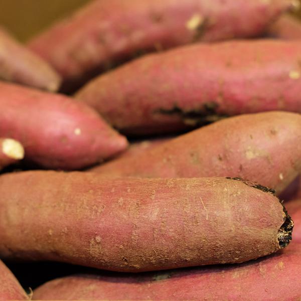 promart-jp_21710714-4_3