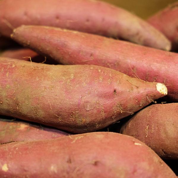 promart-jp_21710714-4_4