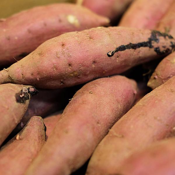 promart-jp_21710714-6_1