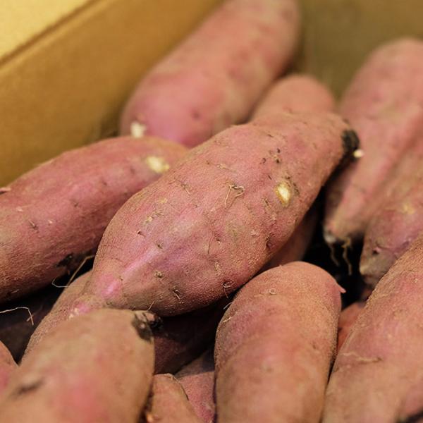 promart-jp_21710714-6_2