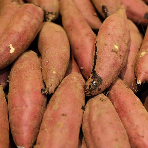 promart-jp_21710714-6_3