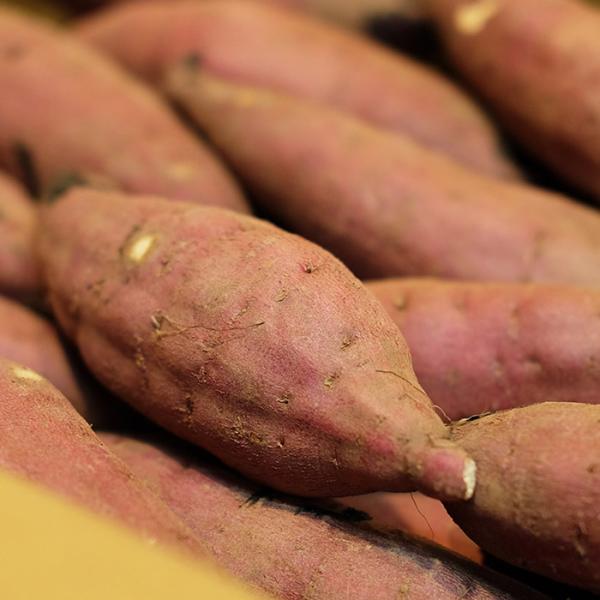 promart-jp_21710714-6_4