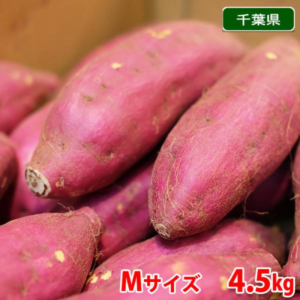 千葉県産（JAかとり）さつまいも 紅あずま 秀品 Mサイズ 約4.5kg